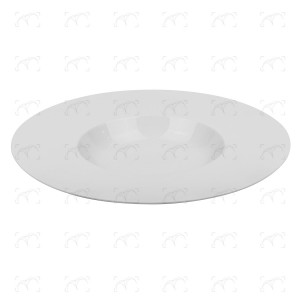 Piatto gourmet ø 29